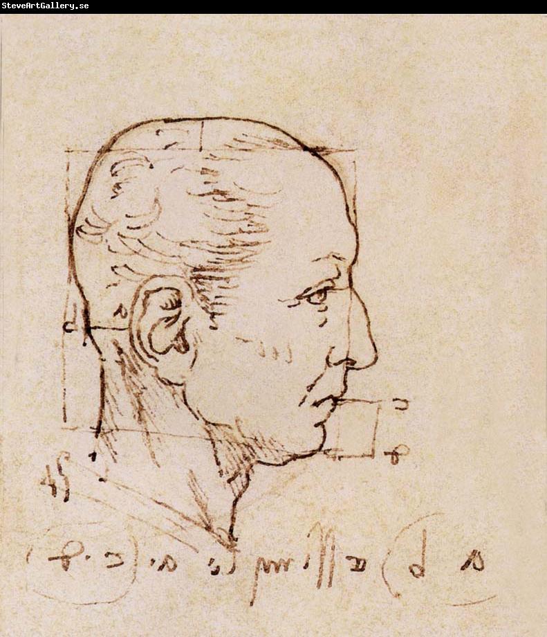 LEONARDO da Vinci Study of the proportion of the head